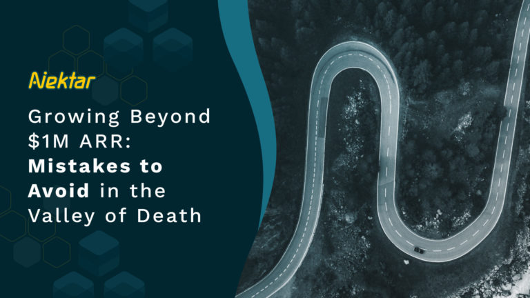 Growing Beyond $1M ARR: Mistakes to Avoid in the Valley of Death