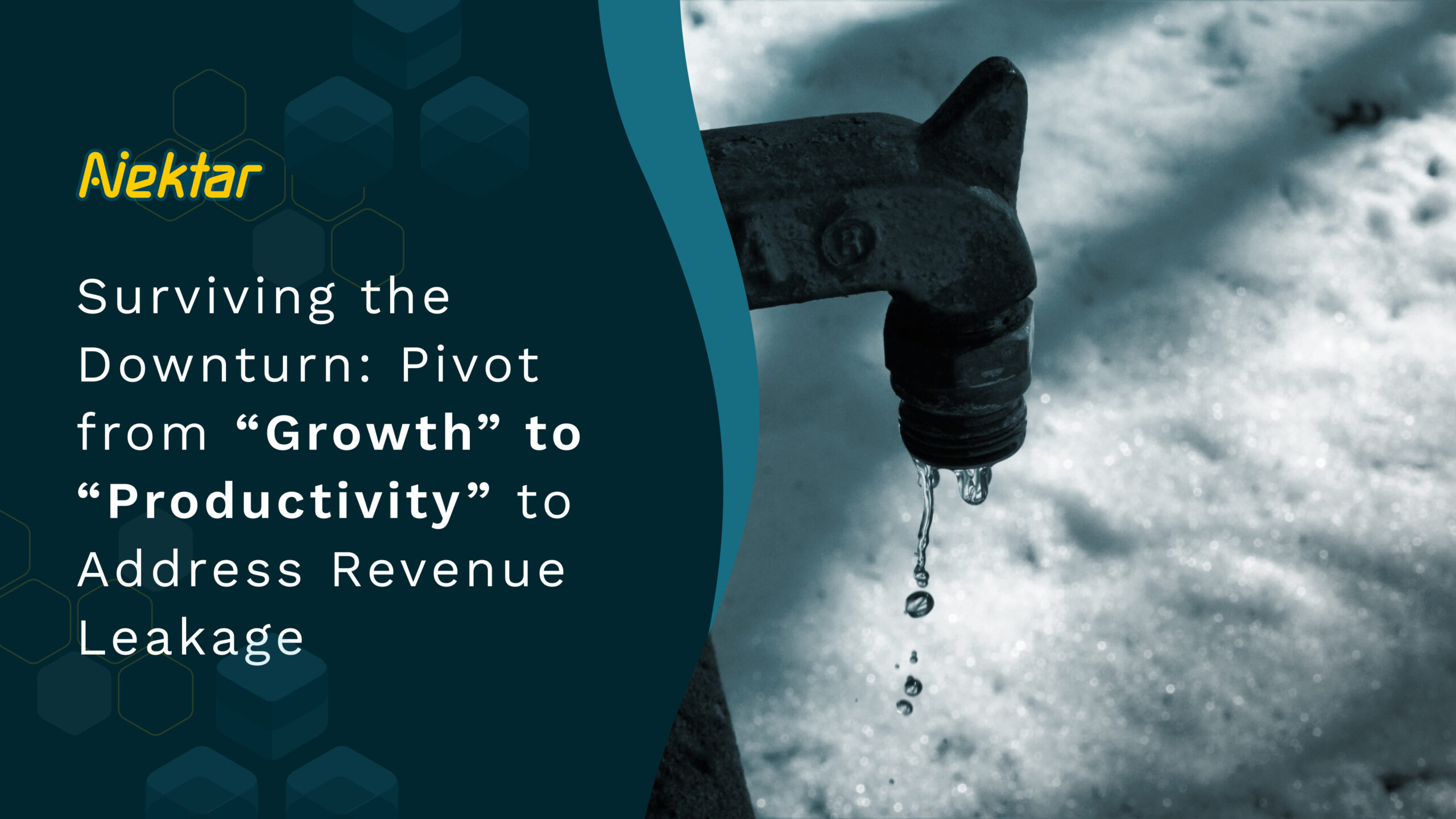 Surviving the Downturn: Pivot from “Growth” to “Productivity” to Address Revenue Leakage