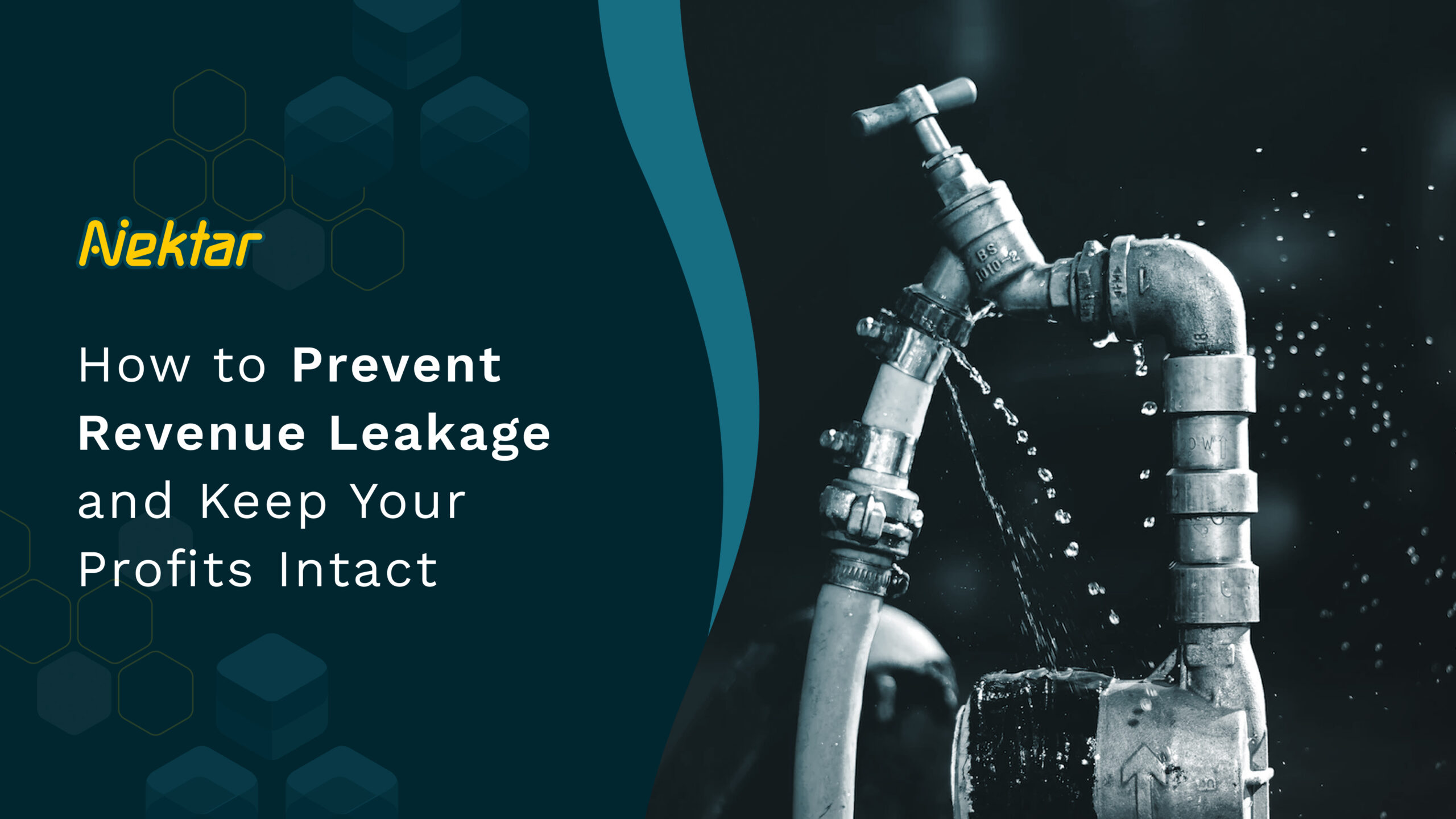 what is revenue leakage