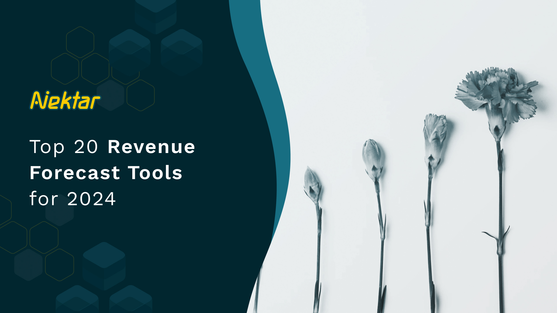 revenue forecast tools