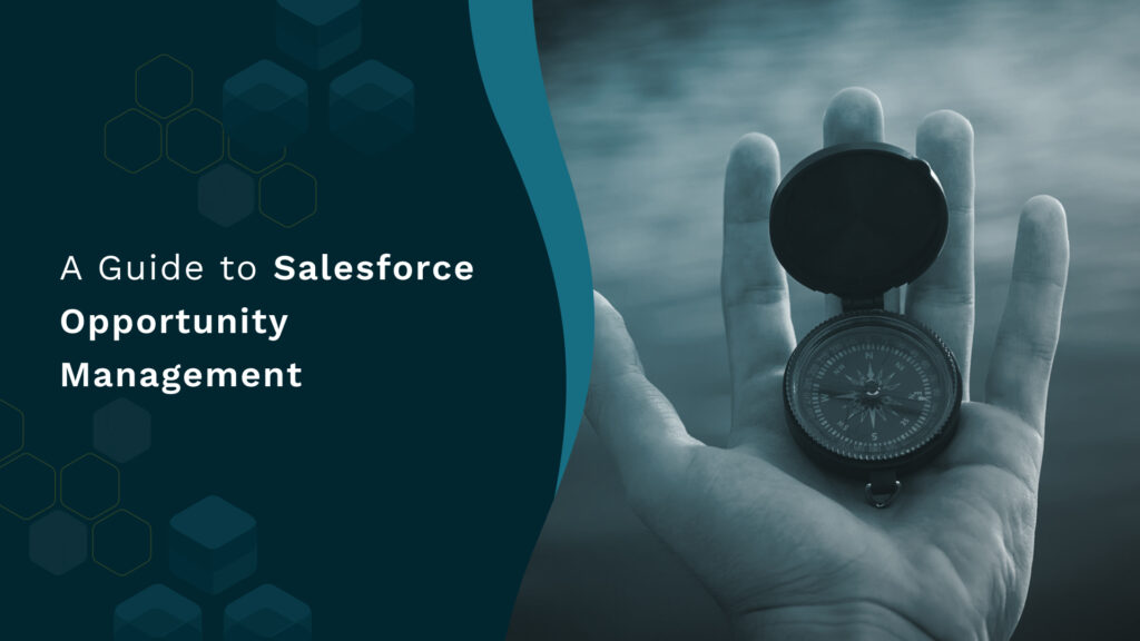 salesforce opportunity management
