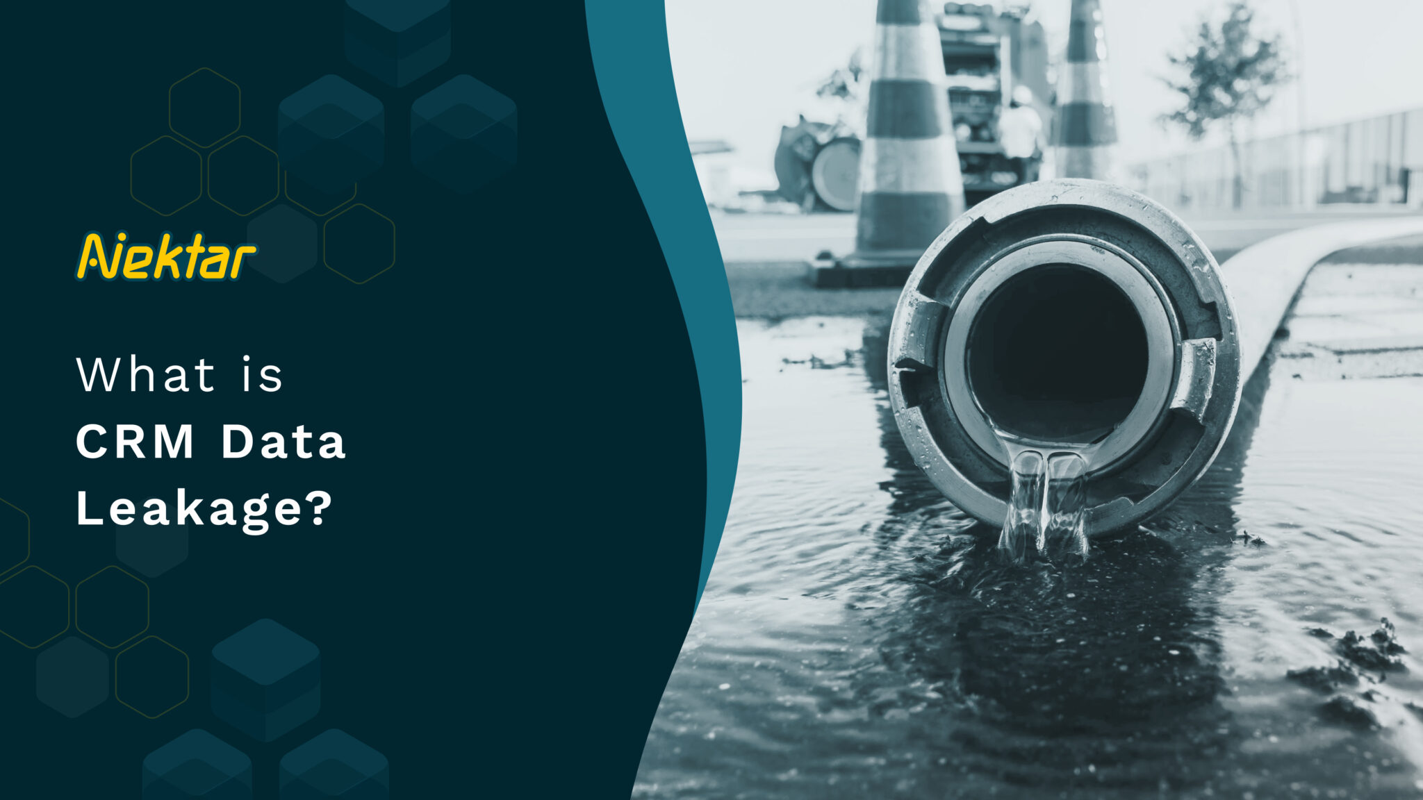 What is CRM Data Leakage?