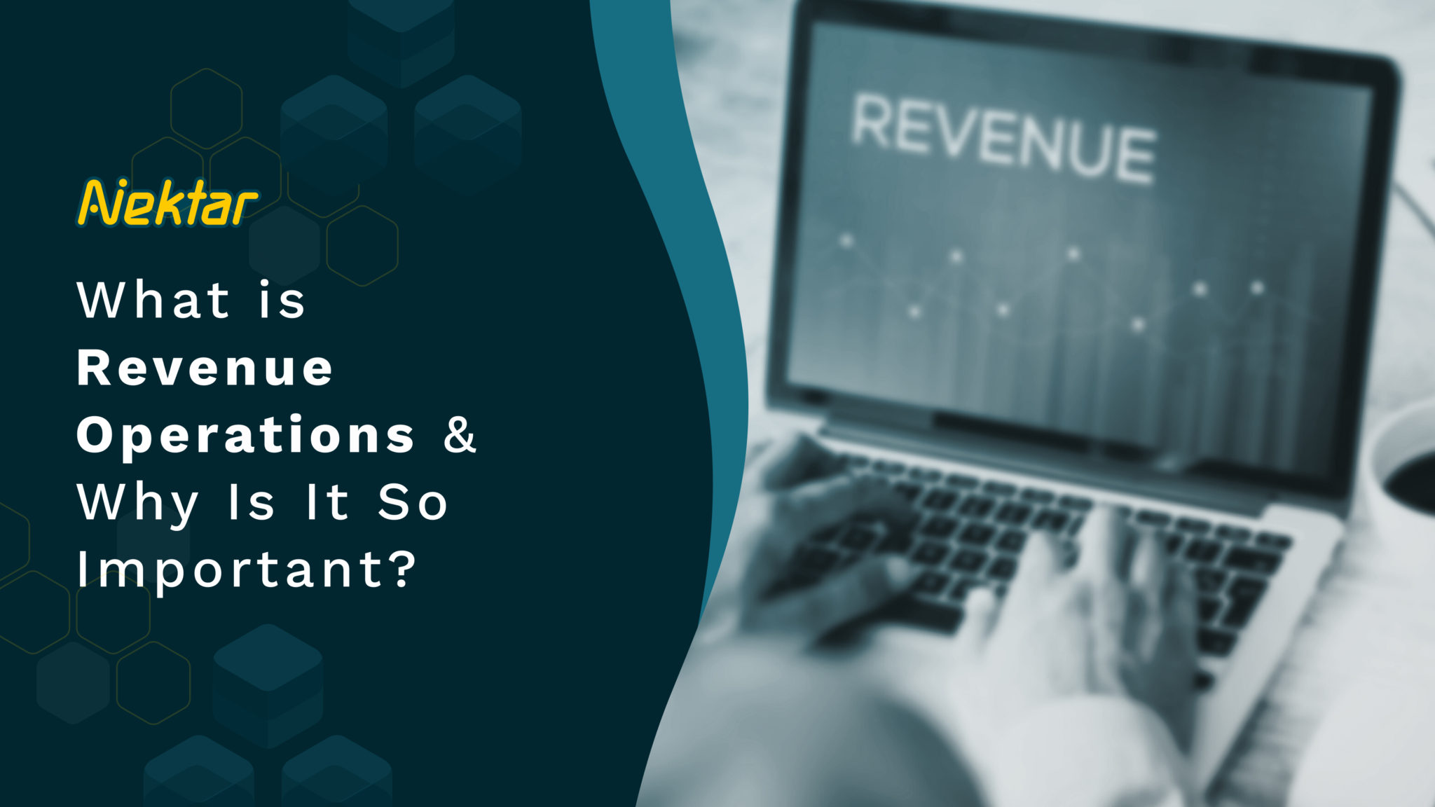 what is revenue operations
