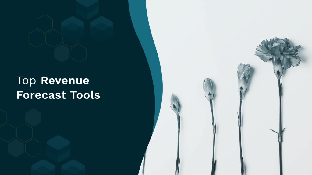 Top Revenue Forecast Tools